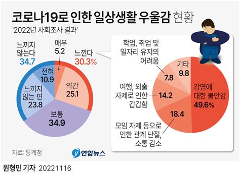 그래픽 코로나19로 인한 일상생활 우울감 현황 연합뉴스