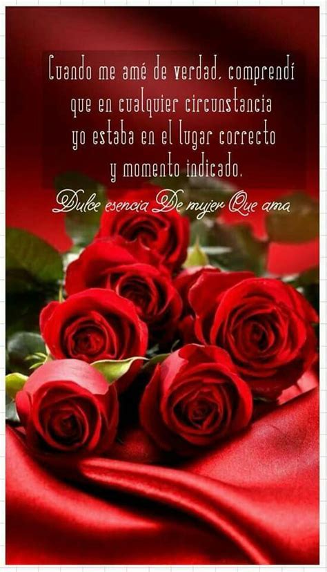 23 Imágenes de rosas rojas con frases de amor romanticas Rosas rojas