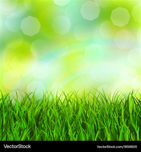 Grass Background Royalty Free Vector Image Vectorstock