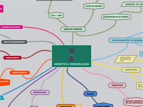 Gen Tica Mendeliana Mind Map