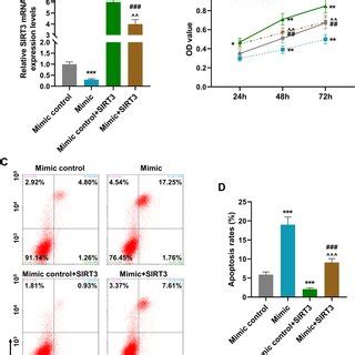 MiR 140 3p Regulated The SIRT3 Expression Cell Viability And Cell