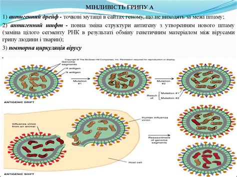 Гострі респіраторні вірусні інфекції - презентация онлайн