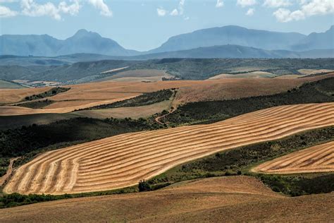 Which Businesses Use Arable Farming? We Look at Farming Equipment