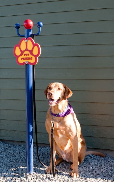 Pet Parking Post | Dog playground, Dog hotel, Dog daycare