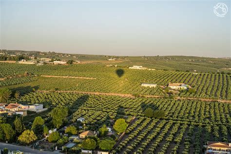 Qu Hacer Y Qu Ver En Montilla Arte Y Vino En C Rdoba Un Viaje Creativo