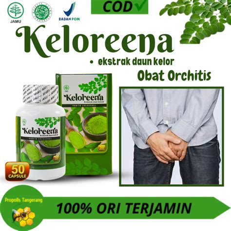 Jual Keloreena Kapsul Kapsul Ekstrak Daun Kelor Asli