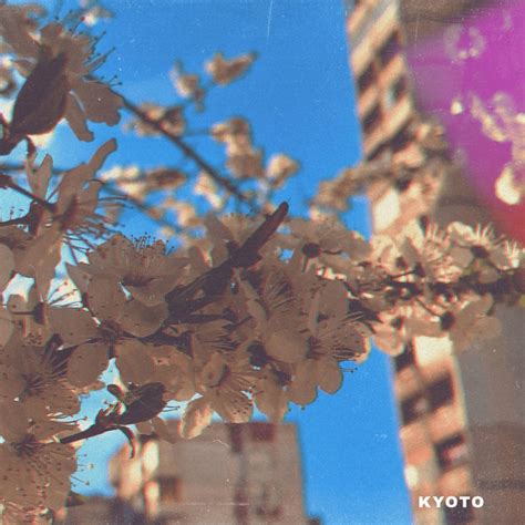 Kyoto Single By Action Alexi Spotify