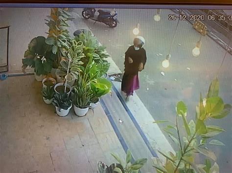 Viral Tertangkap CCTV Seorang Ibu Mencuri Tanaman Hias Di Batam Center