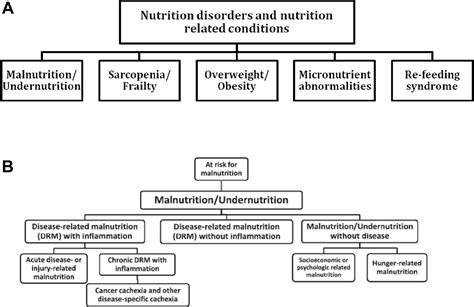 Espen Guideline On Clinical Nutrition In The Intensive Care Unit