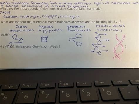 Biochem Final Review Flashcards Flashcards Quizlet