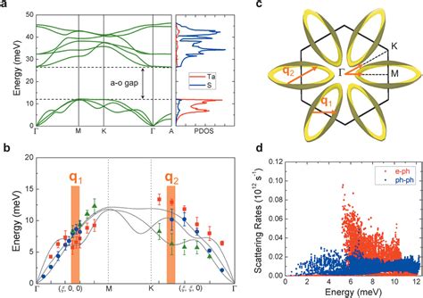 Anomalously Suppressed Thermal Conduction By Electron‐phonon Coupling