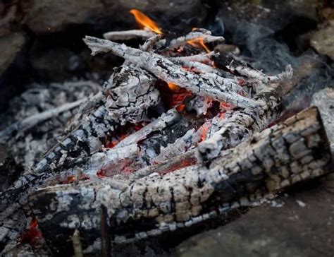 Que Faire Des Restes De Cendre De Bois De La Chemin E Voici Id Es