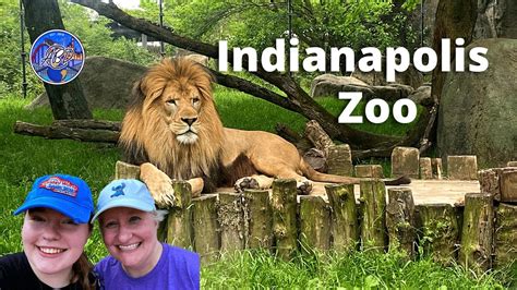 Indianapolis Zoo - Complete Tour - New Alligator and Crocodile Exhibit ...