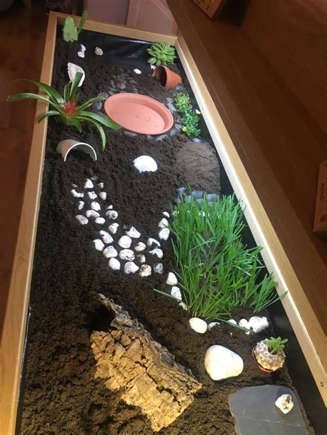 Pin By Holly Murphy On Pets For Kennedy Tortoise House Red Footed