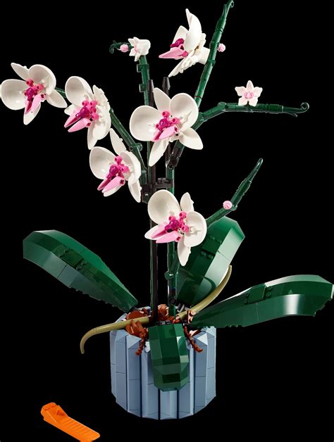 Lego Icons Botanical Collection Orchid • Set 10311 • Setdb