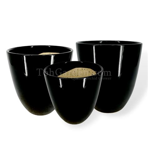 Standard Black Ceramic Pot - Toh Garden : Singapore Orchid Plant & Flower Grower