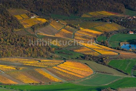 Oberschwarzach Aus Der Vogelperspektive Herbstluftbild Weinbergs