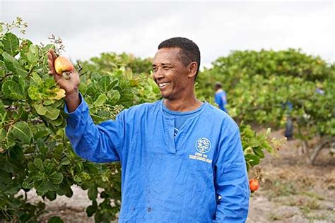 Agco Agriculture Foundation Doar R Mil Para Amigos Do