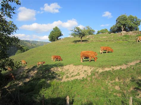 Free Images Grass Mountain Field Farm Meadow Prairie Hill