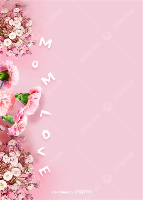 Background Of Mothers Day With Pink Simple Carnation Dry Flowers