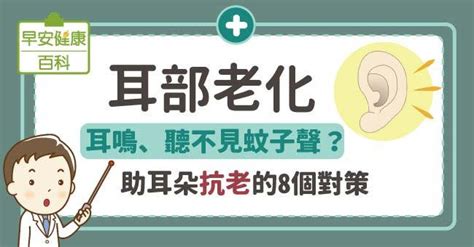 耳部老化：耳鳴、聽不見蚊子聲？助耳朵抗老的8個對策