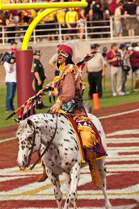 Seminoles Mascot At Fsu Football Game Fsu Football Fsu Football Game Florida State College