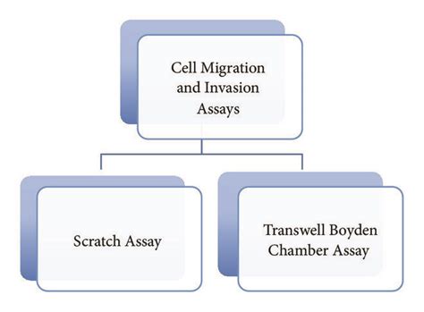 Large Scale Analysis And Cell Based Assays Currently Used To Determine