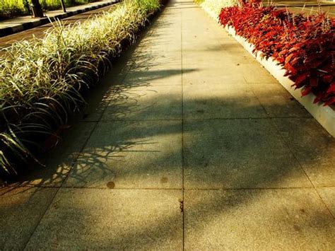 walk  stock  images  backgrounds