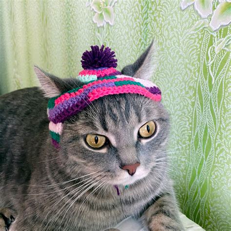 Cat hat crochet pattern PDF Crochet pattern for beginners - Inspire Uplift