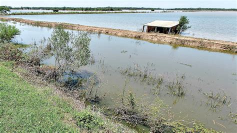 Alertan por posible desborde de ríos en seis departamentos