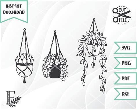 Plants Svg Bundle Hanging Plants Svg Houseplants Svg Potted Etsy