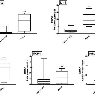 Mrna Expression Of Proinflammatory Cytokines And Adipokines In Pbmc Of