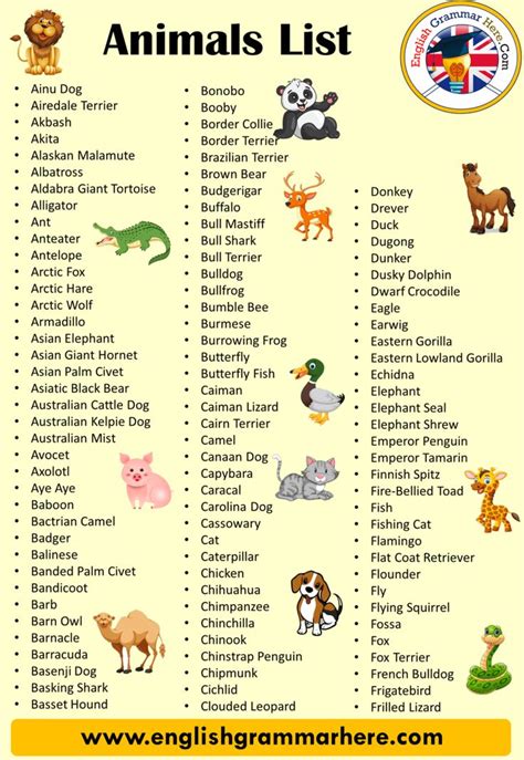 Animals Name List In English A To Z