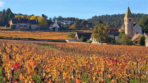 Burgundy Wine The Historic French Wine Region Wine Searcher