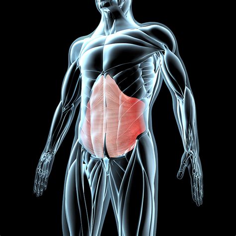 Pathologies Clinique Chirurgie Digestive Royan