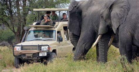 4 Jours Masai Mara Lake Nakuru Lodge Safari En Jeep 4X4 GetYourGuide