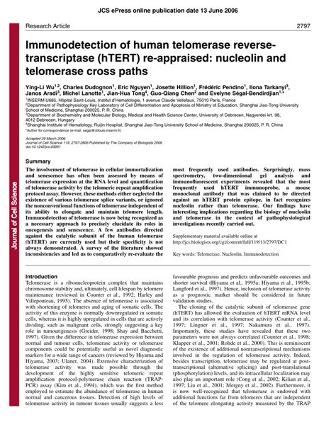 PDF Immunodetection Of Human Telomerase Reverse Transcriptase HTERT