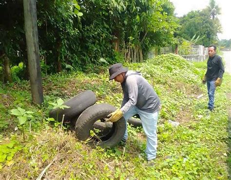 Ssa Redobla Acciones Para Mitigar El Dengue Peri Dico El Orbe