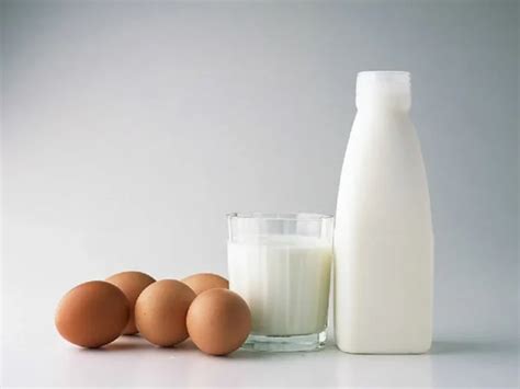 Egg Vs Milk A Nutritional Comparison And Culinary Uses Sehat Tak