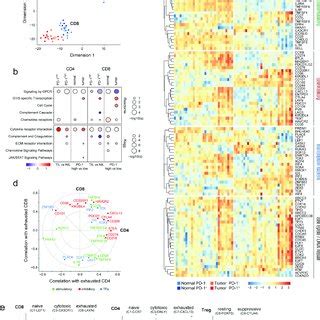 Transcriptional Profile Of Sorted CD8 And CD4 Memory T Cells Based On