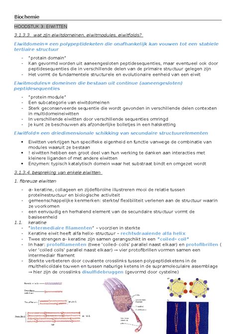 Eiwitten Samenvatting Biochemie En Moleculaire Biologie Biochemie