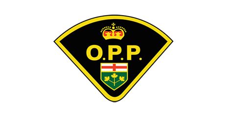 OPP lay charges after drug bust | CTV News