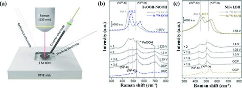 A Schematic Illustration Of Operando Raman Spectroscopy Employing A Download Scientific