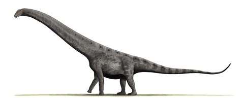 Argentinosaurus Tu Web Especializada En Dinosaurios