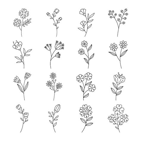 Premium Vector Set Of Flower Line Art Vector