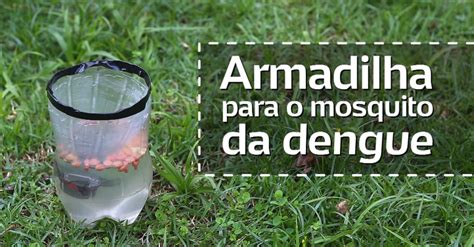 Aprenda A Fazer Uma Armadilha Para Pegar O Mosquito Da Dengue