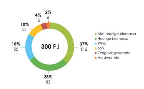 Maar Het Kan Toch Wel Op Zee Rijne Energie