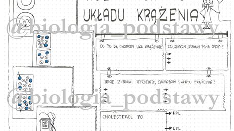 Klasa 7 Higiena i choroby układu krążenia LP Złoty nauczyciel