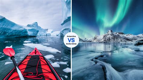 Should you visit Antarctica or the Arctic? - Lonely Planet