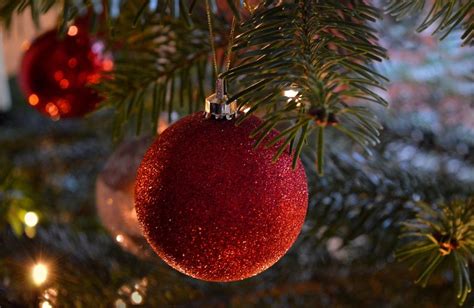 Por qué se arma el árbol de Navidad el 8 de diciembre